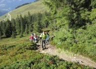 Ausflug Wandertag 2016 (4).JPG